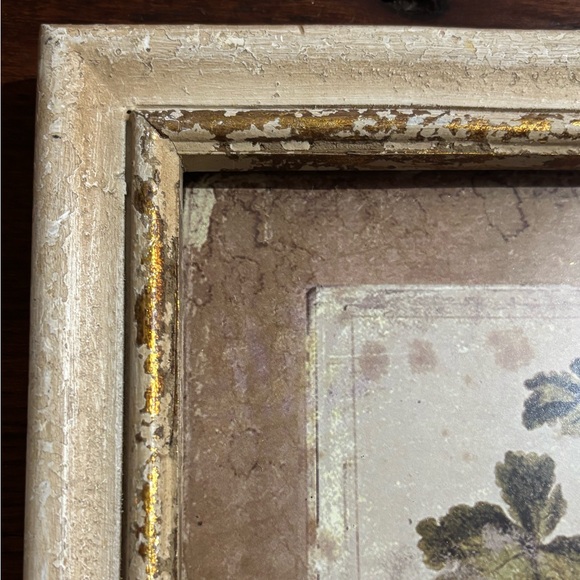 Williamsburg Creative Co-op Framed Floral Art Print 10x13 Rustic Cottagecore - Picture 5 of 10